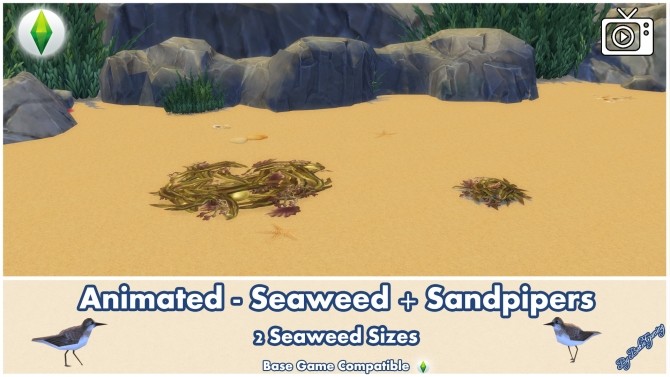 Sims 4 Animated Seaweed + Sandpipers by Bakie at Mod The Sims