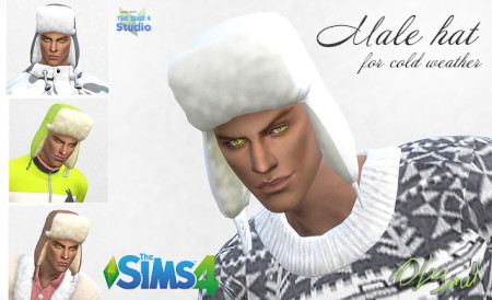 Male hat at OleSims