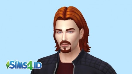 Beard Thin Goatee by David Veiga at The Sims 4 ID