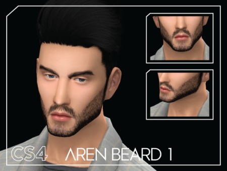 Aren Beard 1 by Choi Sims 4 at TSR
