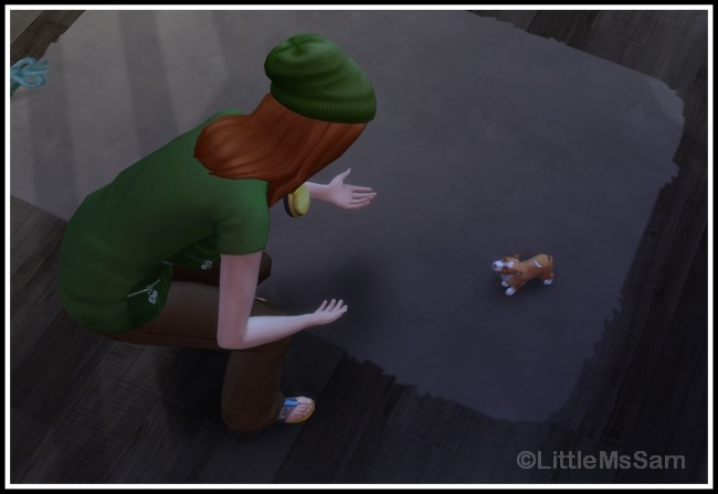 Sims 4 Train your Puppies at LittleMsSam