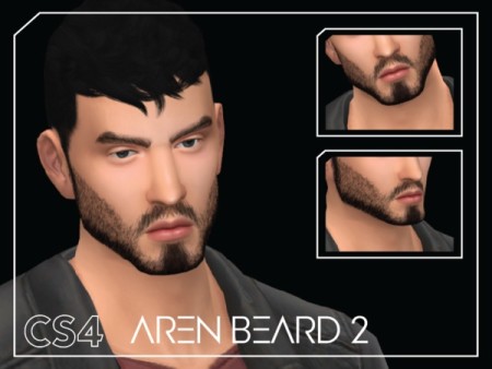Aren Beard 2 by Choi Sims 4 at TSR