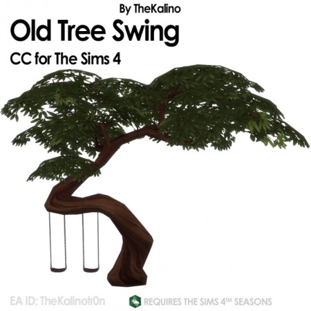 Old Tree Swing at Kalino