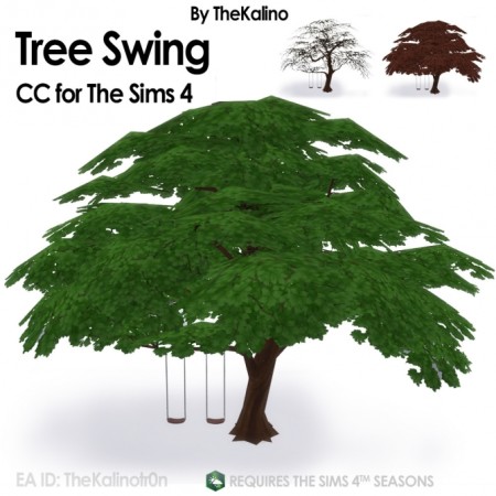 Tree Swing at Kalino
