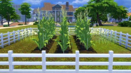 Farm and Orchard Raised Row Gardening Soil Squares by Snowhaze at Mod The Sims