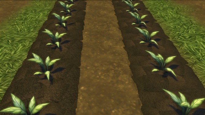 Sims 4 Farm and Orchard Raised Row Gardening Soil Squares by Snowhaze at Mod The Sims