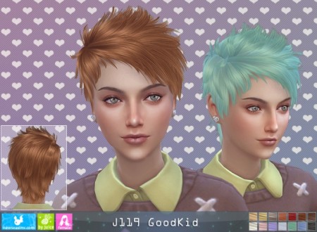 J119 Goodkid hair F (P) at Newsea Sims 4