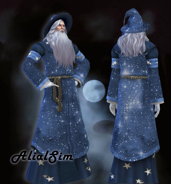 Sims 4 Wizard Costume at Alial Sim