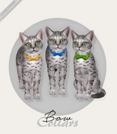 Bow Collars For Cats at Simiracle