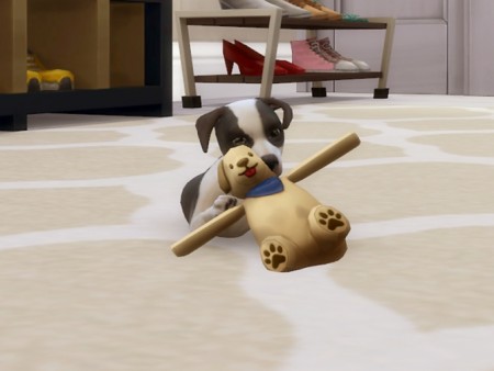 Pet Toys Pack #1 at MSQ Sims » Sims 4 Updates