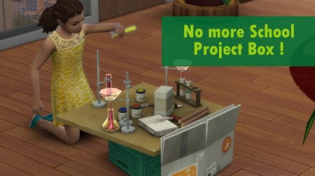 No more school project box by Nova JY at Mod The Sims