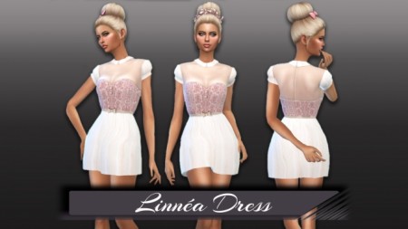 Linnéa Dress at Seger Sims