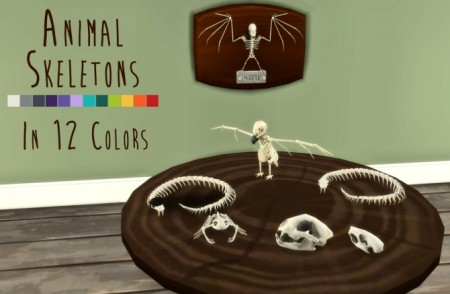 Animal Skeletons at Teanmoon