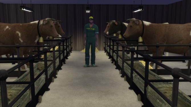 Sims 4 The Farm at Alial Sim