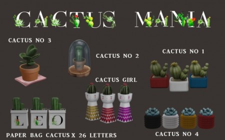 Cactus Mania (P) at Leo Sims