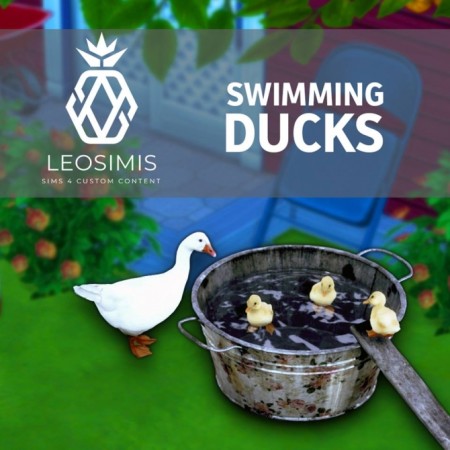 Swimming Ducks (P) at Leo Sims