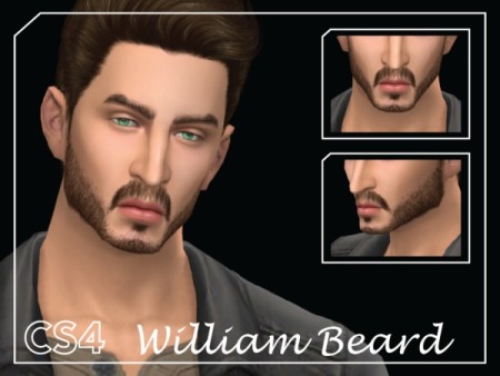 William Beard by Choi Sims 4 at TSR