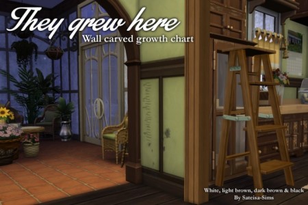 Wall carved growth chart Decal by Sateisa at Mod The Sims