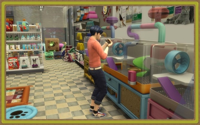 Sims 4 Pet Shop at Nagvalmi