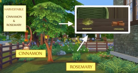 Harvestable Cinnamon and Rosemary by icemunmun at Mod The Sims