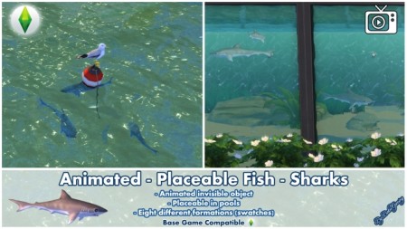 Animated Placeable Fish – Sharks by Bakie at Mod The Sims
