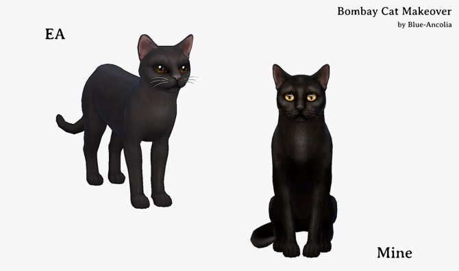 Sims 4 Bombay Cat Makeover at Blue Ancolia
