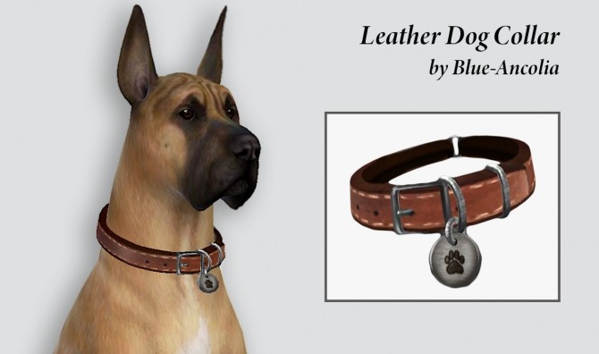 Sims 4 Leather dog collar at Blue Ancolia