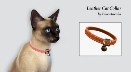 Leather cat collar at Blue Ancolia