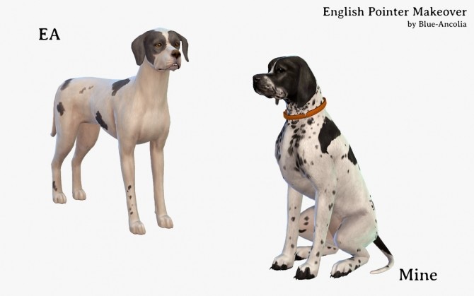 Sims 4 English Pointer Makeover at Blue Ancolia