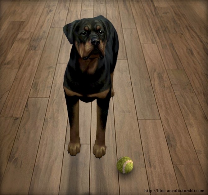 Sims 4 Realistic toy ball for your pets at Blue Ancolia
