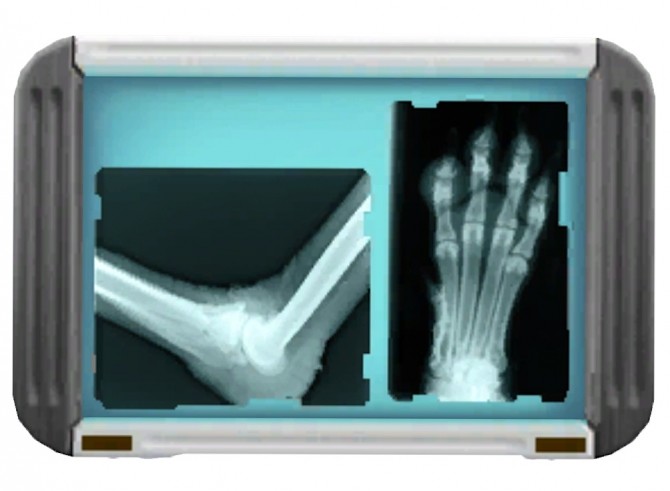 Sims 4 Realistic Dog X Ray at Blue Ancolia