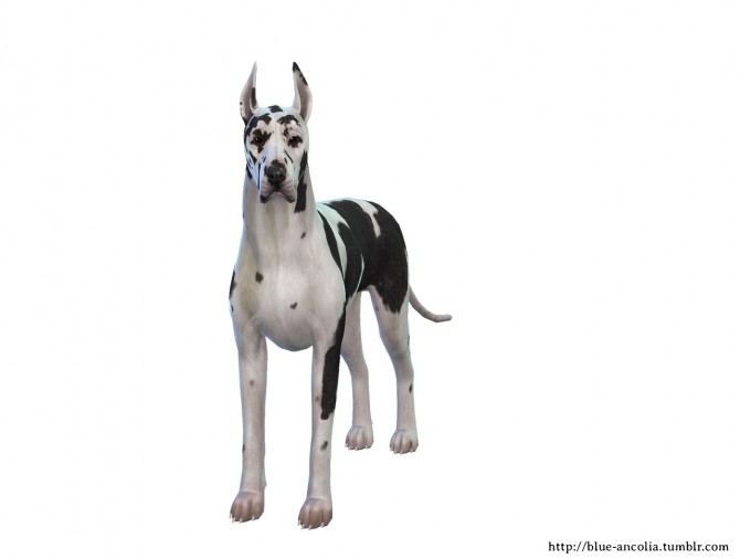 Sims 4 Great Dane Makeover (Third Version) at Blue Ancolia