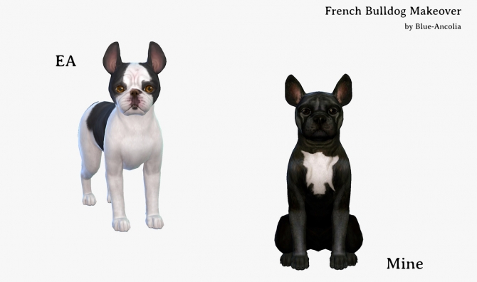 French Bulldog Makeover At Blue Ancolia Sims 4 Updates