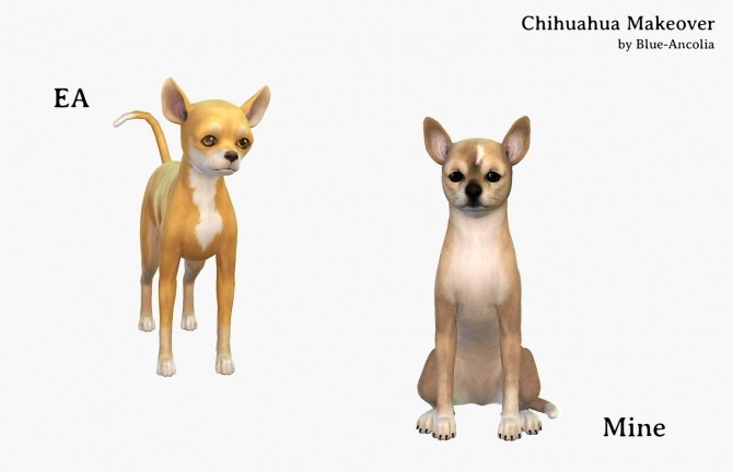 Sims 4 Chihuahua Makeover at Blue Ancolia