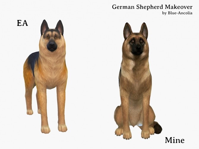 Sims 4 German Shepherd makeover at Blue Ancolia