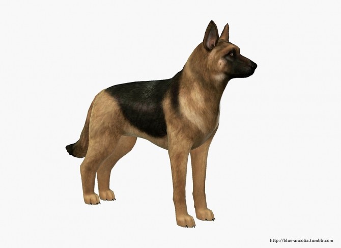 Sims 4 German Shepherd makeover at Blue Ancolia