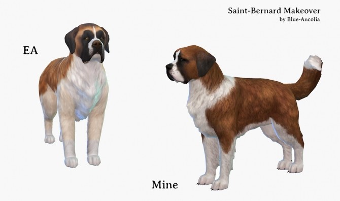 Sims 4 Saint Bernard dog makeover at Blue Ancolia