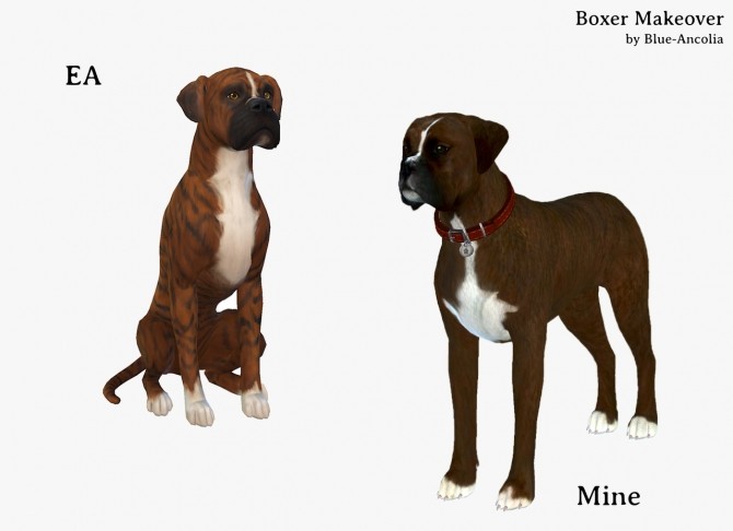 Sims 4 Boxer Makeover at Blue Ancolia