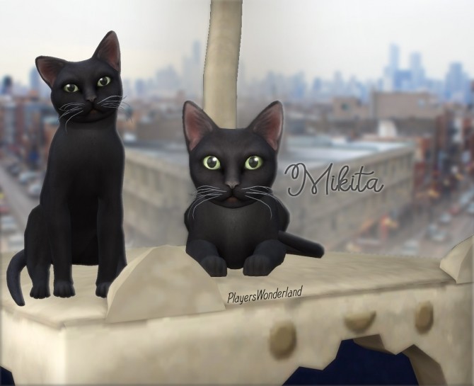 Sims 4 Mikita Chicago black cat at PW’s Creations