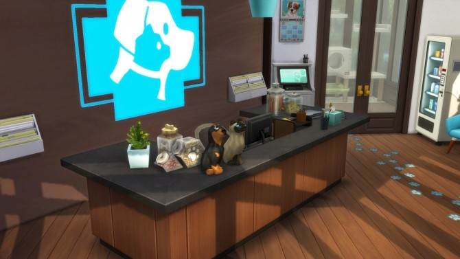 Sims 4 Veterinary clinic at Anna Frost