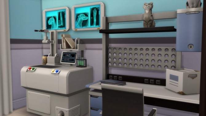 Sims 4 Veterinary clinic at Anna Frost