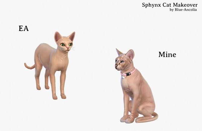 Sims 4 Sphynx Cat Makeover at Blue Ancolia