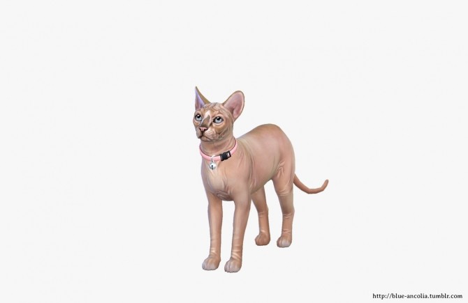 Sims 4 Sphynx Cat Makeover at Blue Ancolia