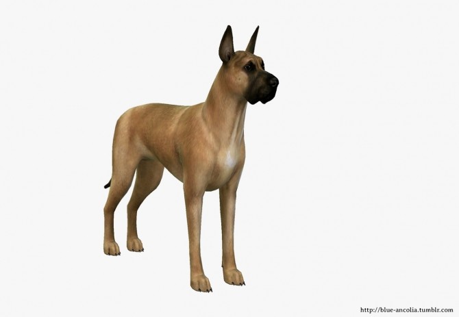 Sims 4 Great Dane Makeover (first version) at Blue Ancolia
