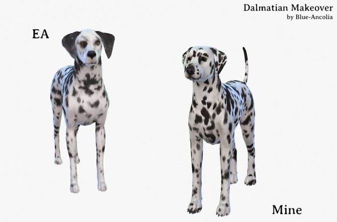 Sims 4 Dalmatian Makeover at Blue Ancolia