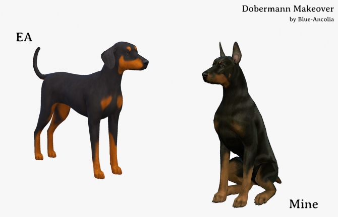 Dobermann Makeover At Blue Ancolia Sims 4 Updates