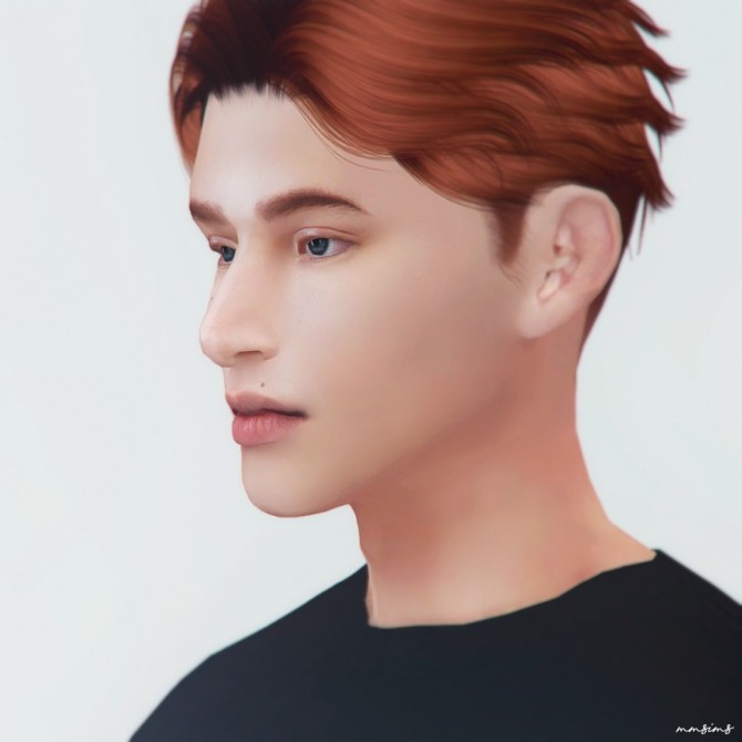 Preset Am Nose 1 And 2 At Mmsims Sims 4 Updates