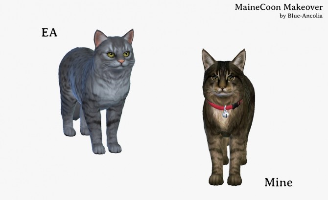 Sims 4 Maine Coon Makeover at Blue Ancolia