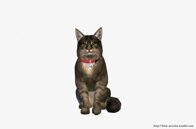 Sims 4 Maine Coon Makeover at Blue Ancolia