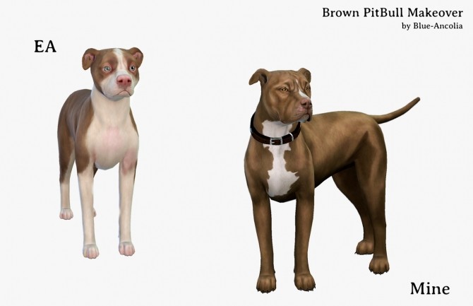 Sims 4 Brown PitBull Makeover (first version) at Blue Ancolia